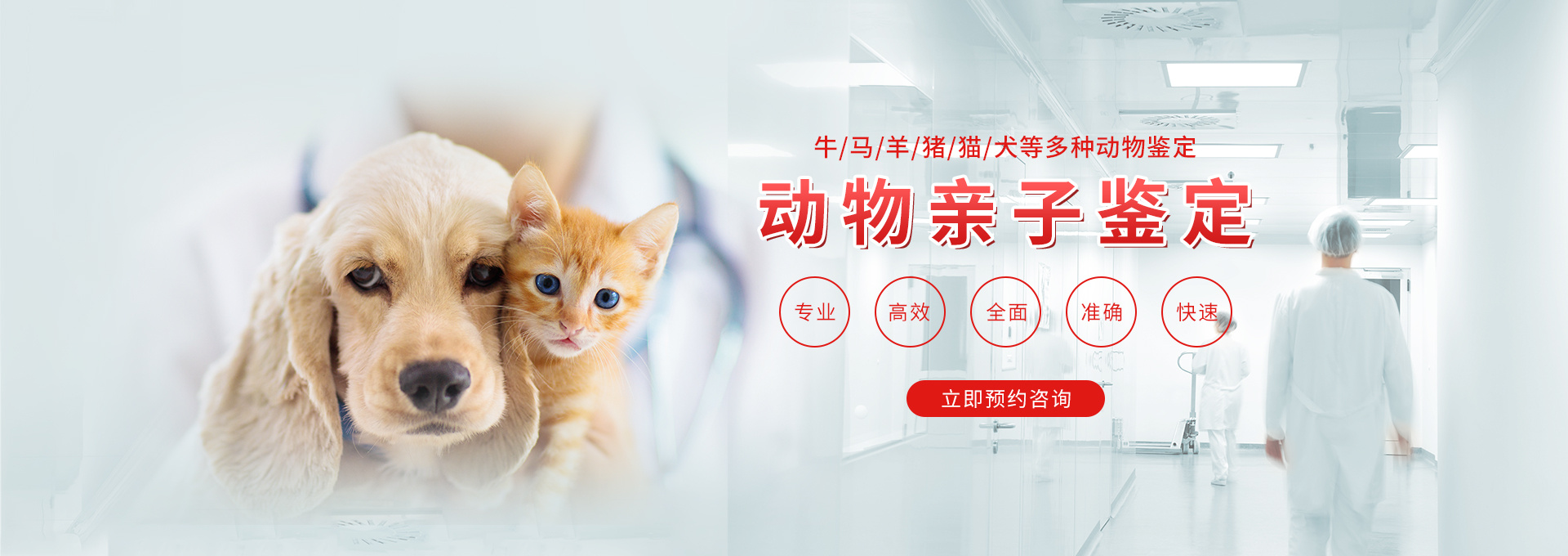 山西动物鉴定